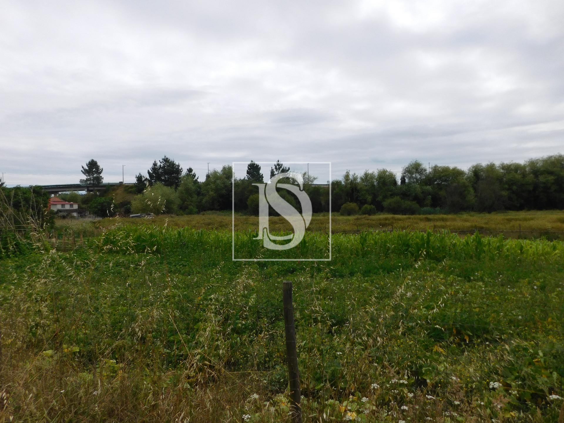 Moradia para Restaurar T2