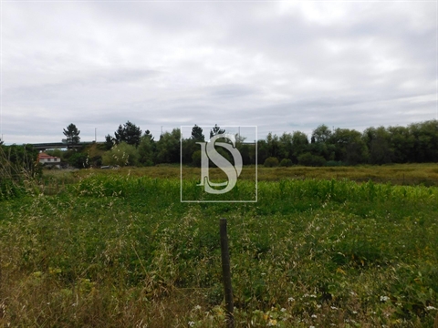 Moradia para Restaurar T2