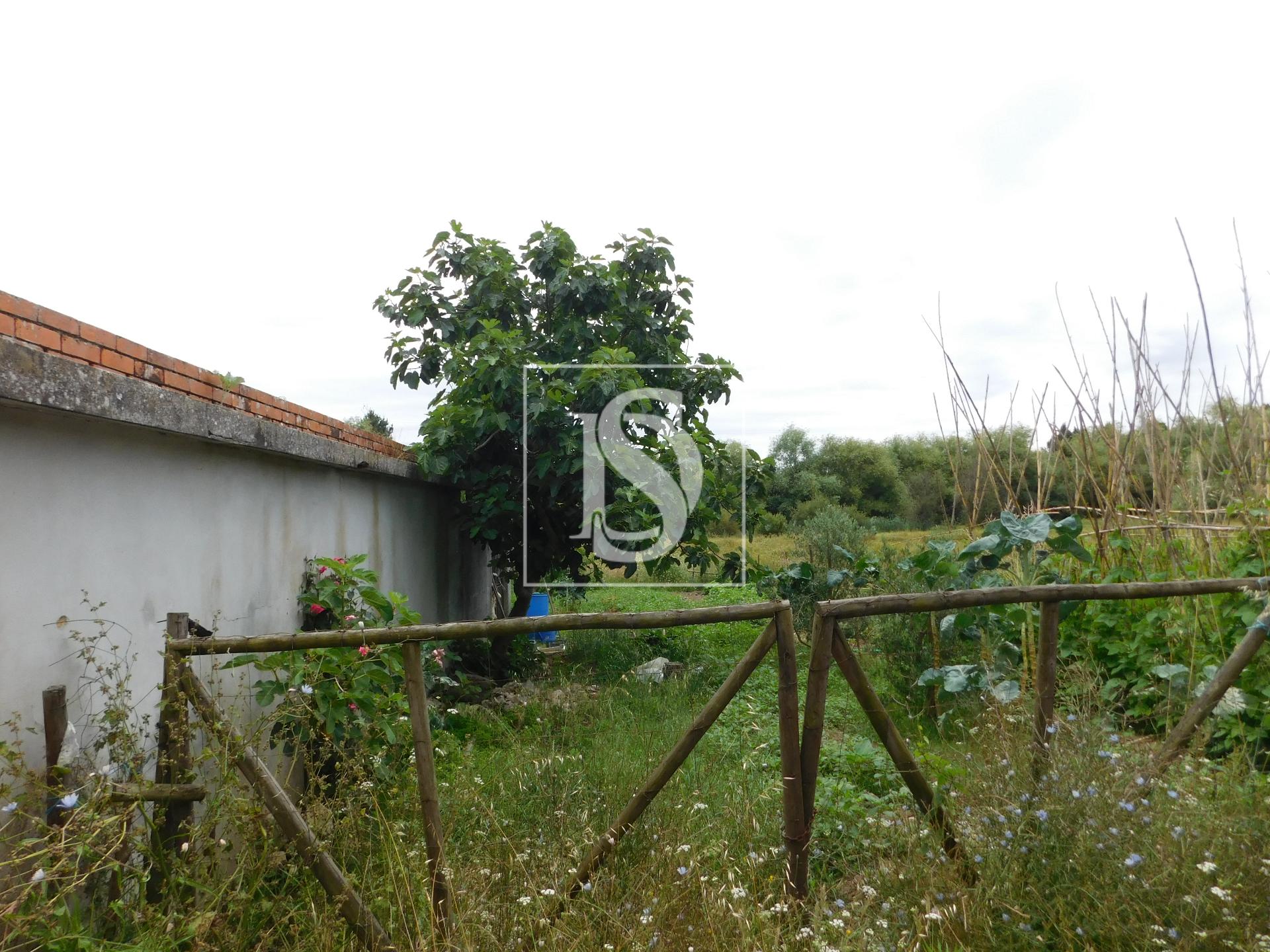 Moradia para Restaurar T2