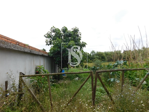 Moradia para Restaurar T2